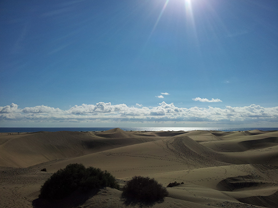 Ingen snø i sikte her i Playa del Inglés. Ingen snø i sikte her i Playa del Inglés.